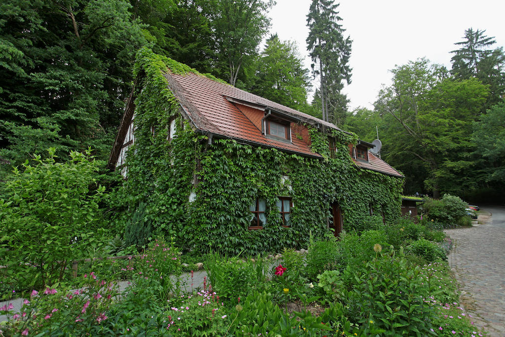 Hotel Boltenmuehle Guhlen Glienicke Pokoj fotografie