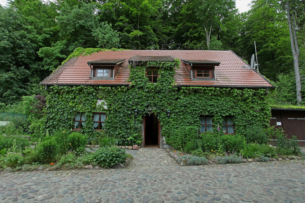 Hotel Boltenmuehle Guhlen Glienicke Pokoj fotografie